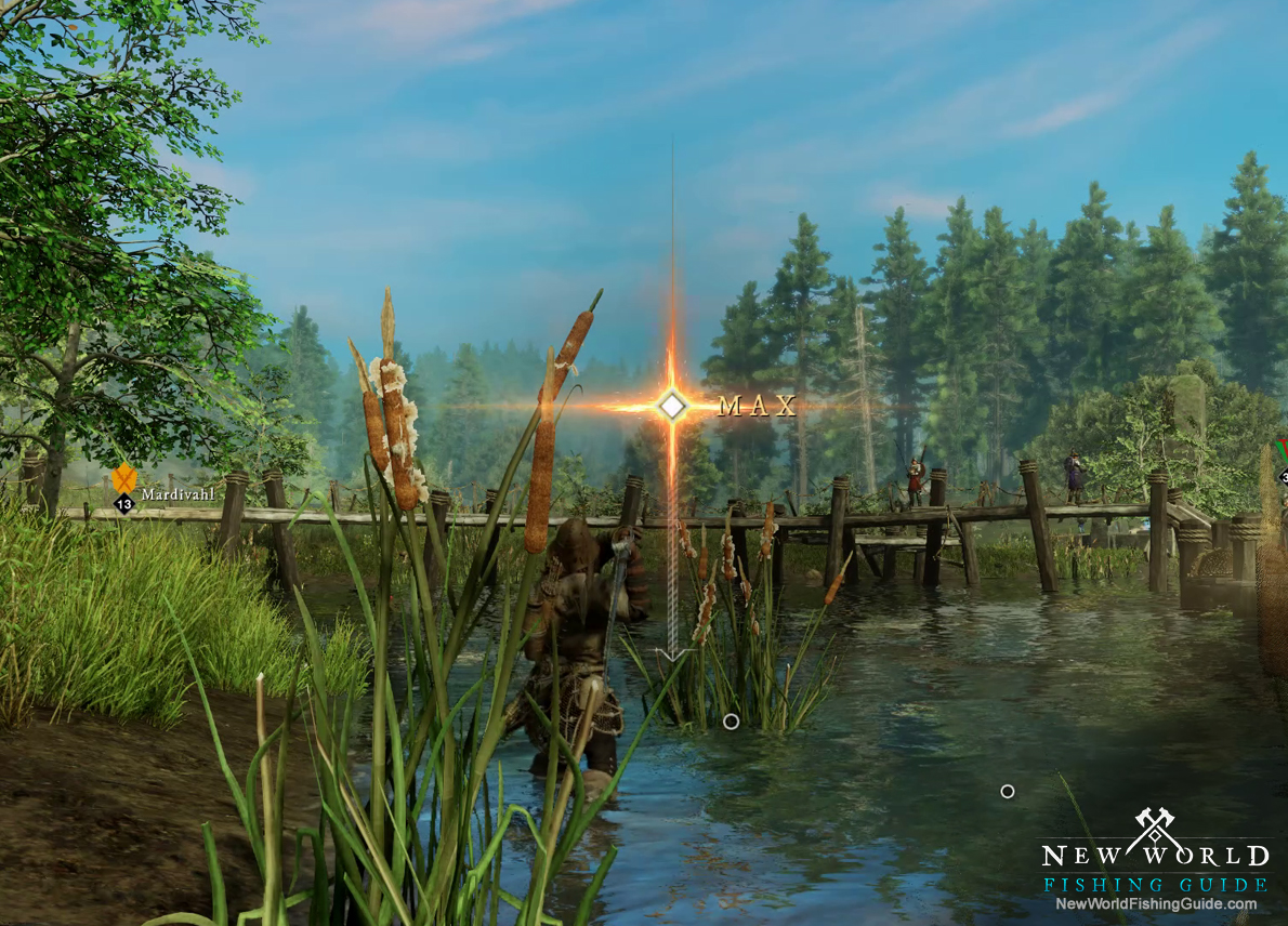 A complete guide to Fishing in New World